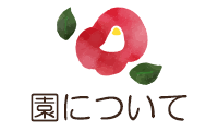 ���ɂ���